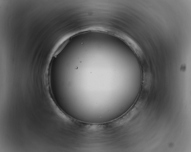 X0000103270808200809051505