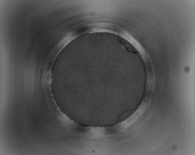 X0000103270809200809051505