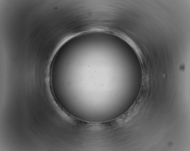 X0000103270811200809051505