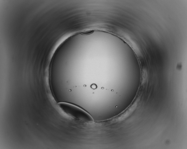 X0000103270812200809051505