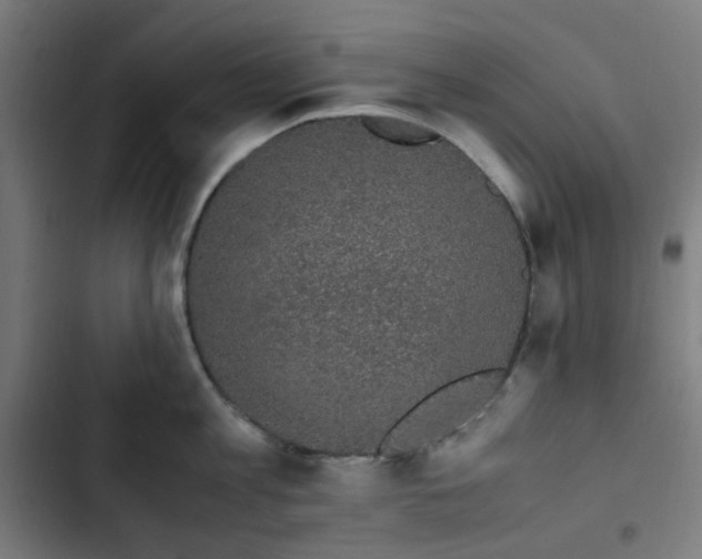 X0000103270813200809051505