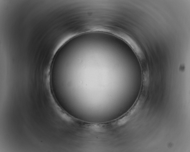 X0000103270814200809051505