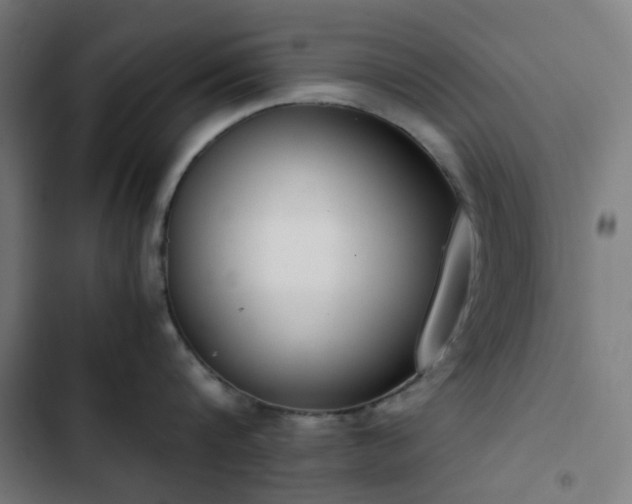 X0000103270816200809051505