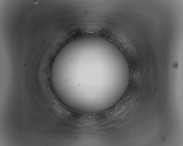 X0000103270817200809051505