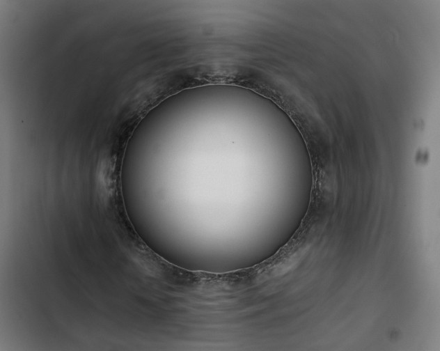 X0000103270818200809051505