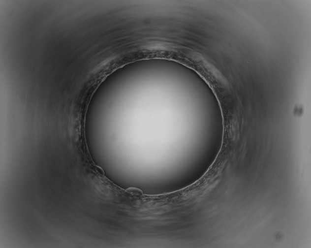 X0000103270821200809051505