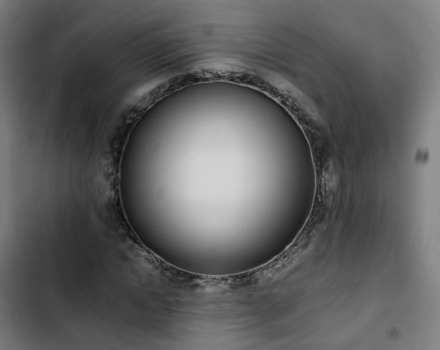 X0000103270822200809051505