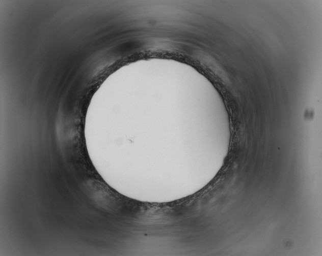 X0000103270824200809051505