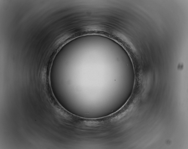 X0000103270825200809051505