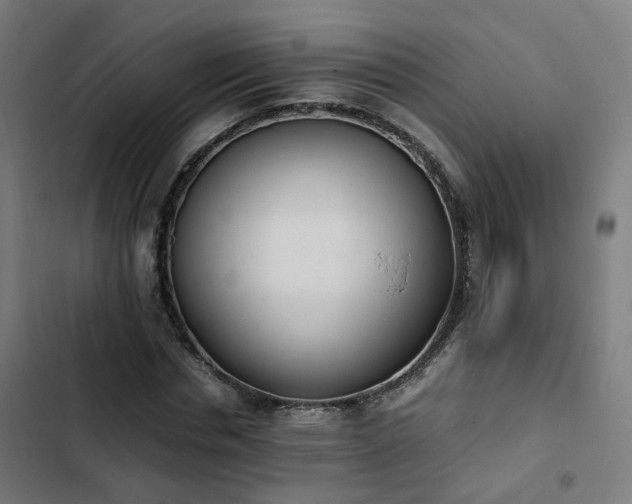 X0000103270826200809051505