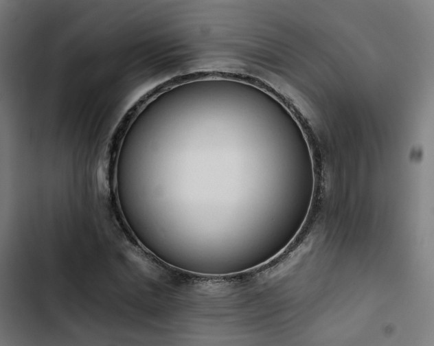 X0000103270830200809051505