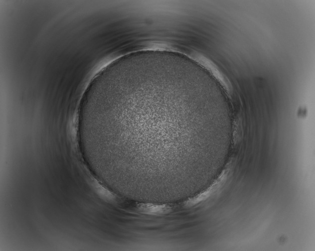 X0000103270831200809051505