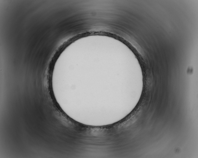 X0000103270832200809051505