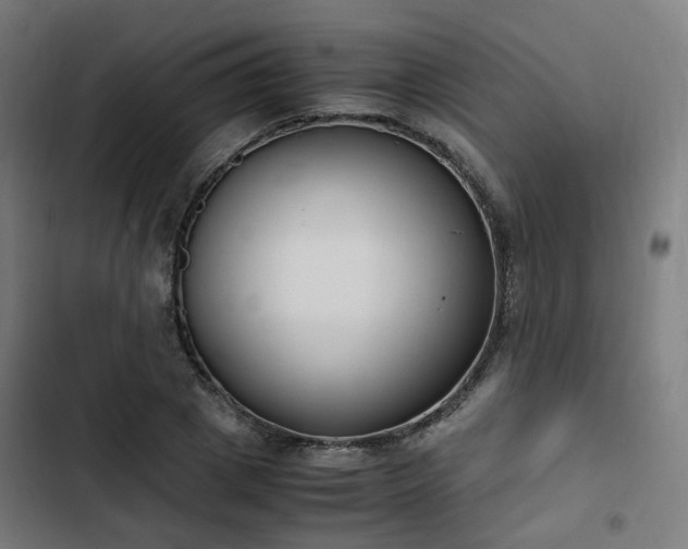 X0000103270833200809051505