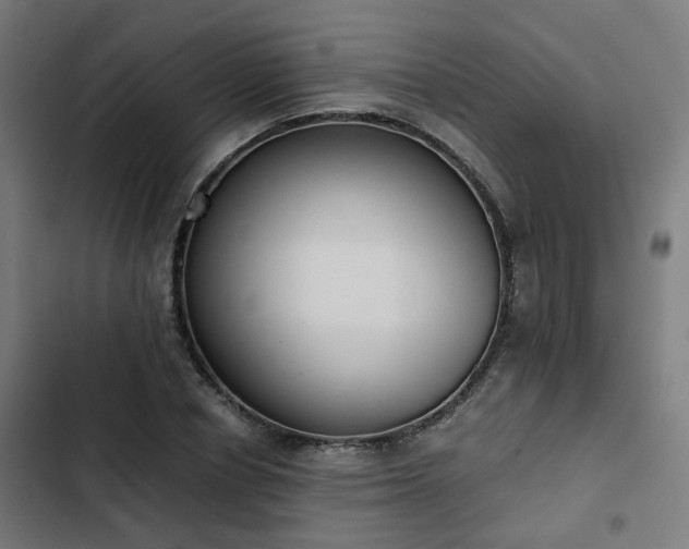X0000103270834200809051505
