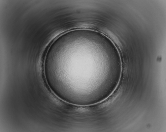 X0000103270835200809051505