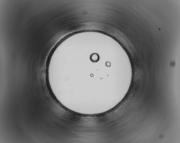 X0000103270836200809051505