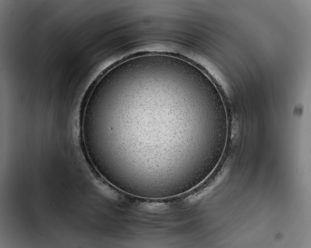 X0000103270837200809051505