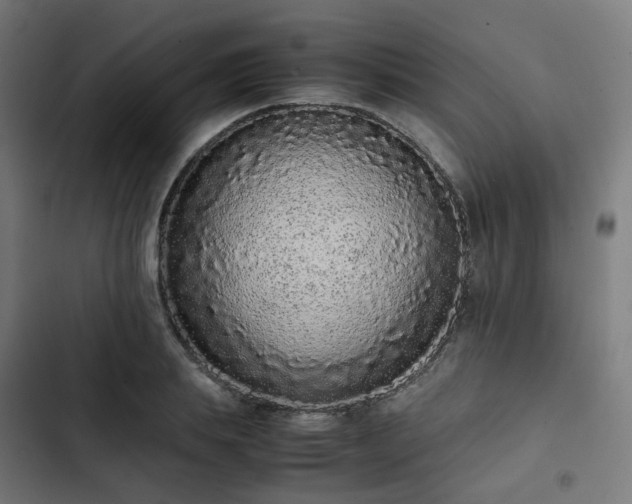 X0000103270839200809051505