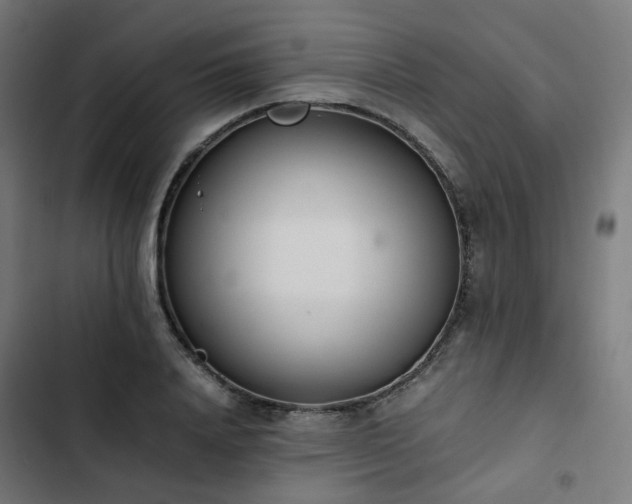 X0000103270840200809051505
