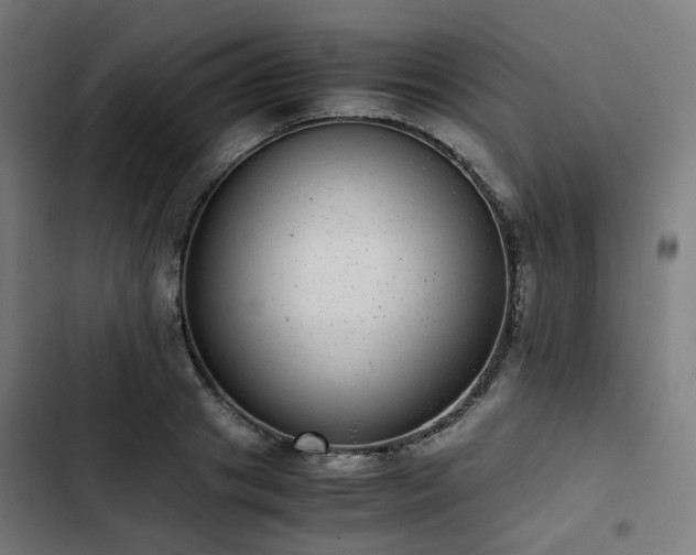 X0000103270841200809051505