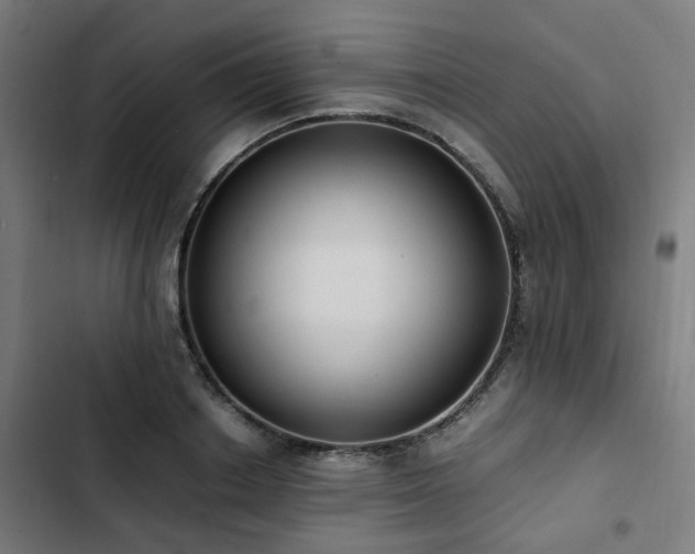 X0000103270842200809051505