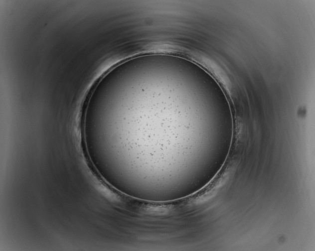 X0000103270843200809051505