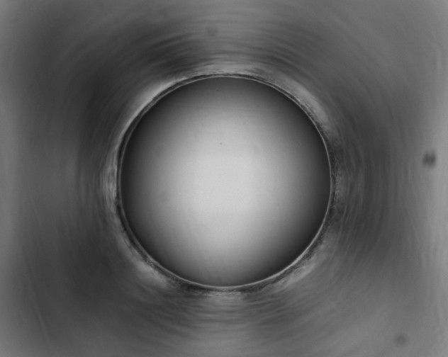 X0000103270844200809051505