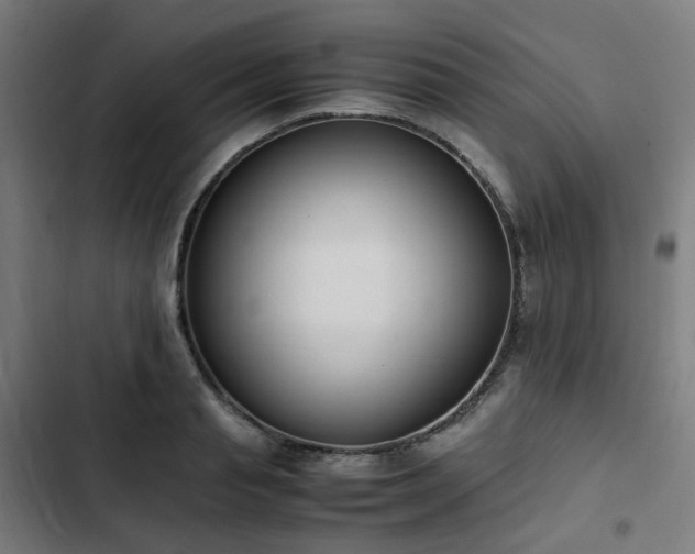 X0000103270845200809051505
