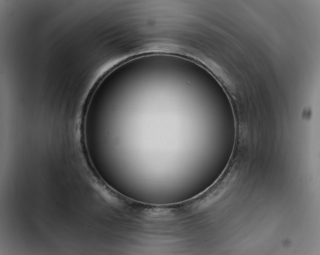 X0000103270846200809051505