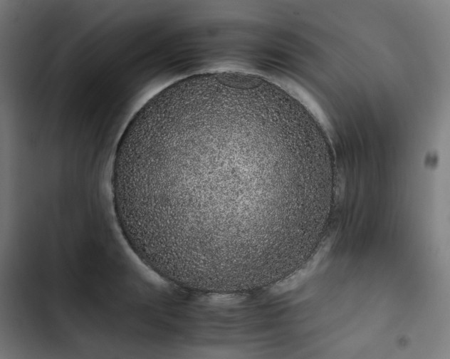 X0000103270847200809051505