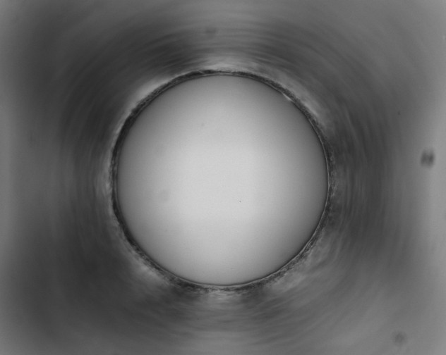 X0000103270848200809051505