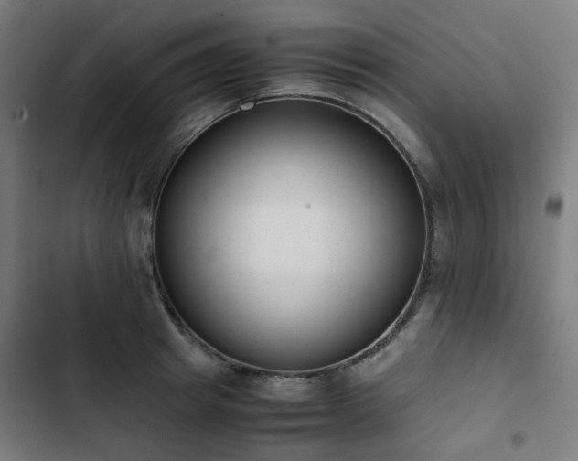 X0000103270849200809051505
