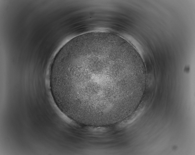 X0000103270851200809051505