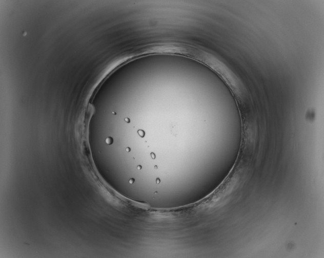 X0000103270852200809051505