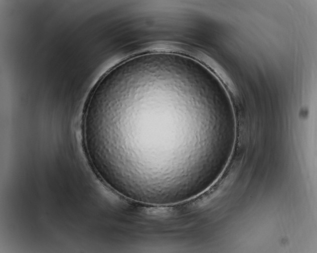 X0000103270853200809051505
