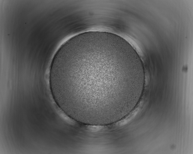 X0000103270854200809051505