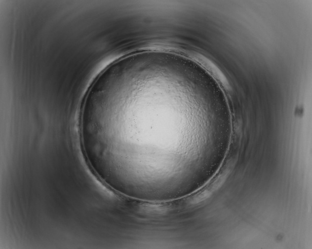 X0000103270855200809051505