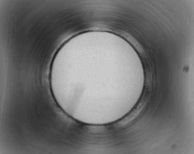 X0000103270856200809051505