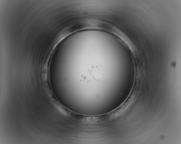 X0000103270858200809051505