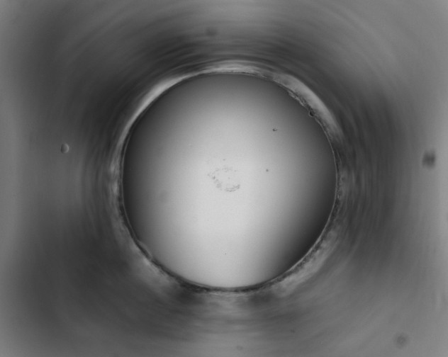 X0000103270860200809051505