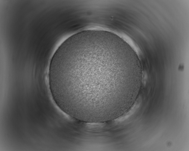 X0000103270863200809051505