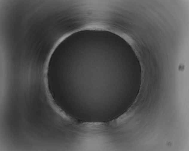 X0000103270864200809051505