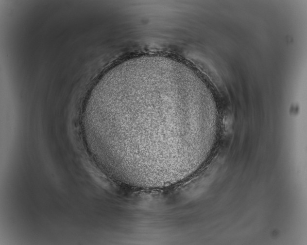 X0000103270865200809051505