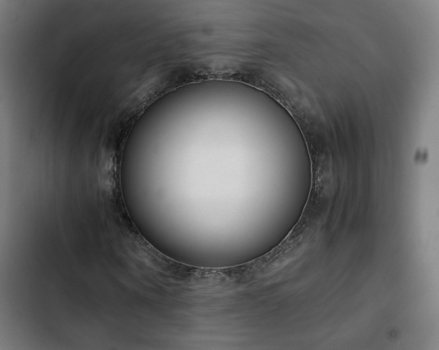 X0000103270866200809051505
