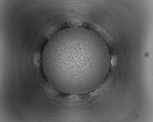 X0000103270867200809051505
