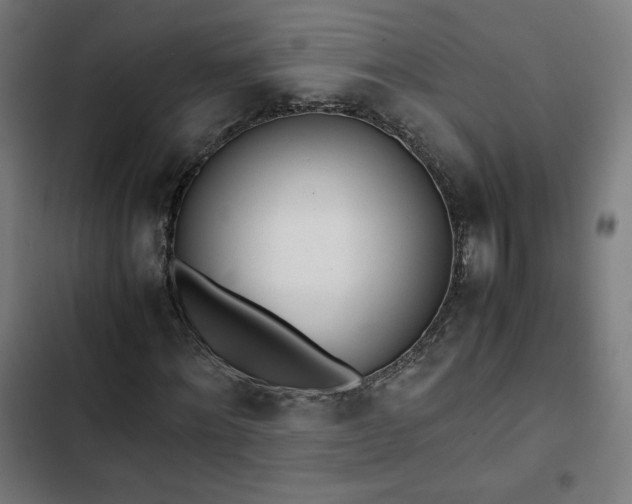 X0000103270868200809051504
