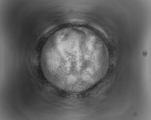 X0000103270869200809051504