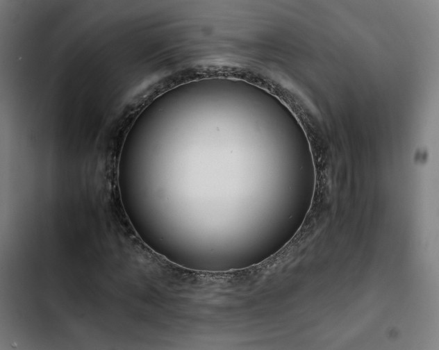 X0000103270870200809051504