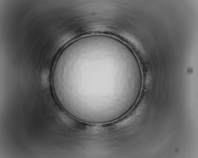 X0000103270873200809051504